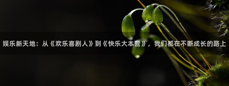 upload/20250701114914.jpg